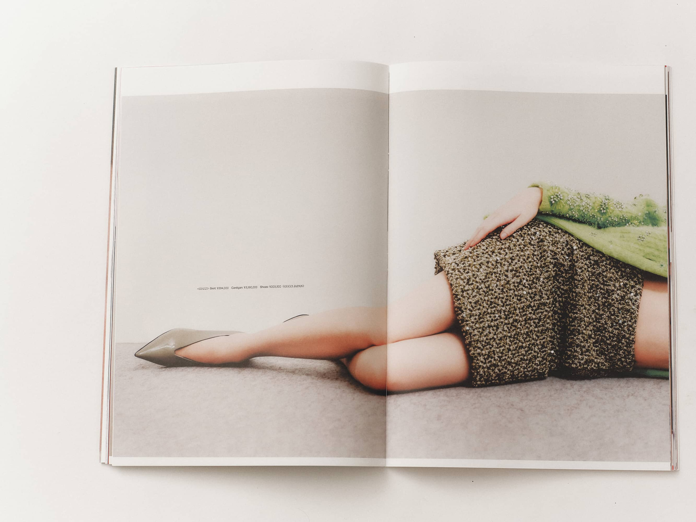 GIRL HOUYHNHNM VISUAL BOOK #000 image 6
