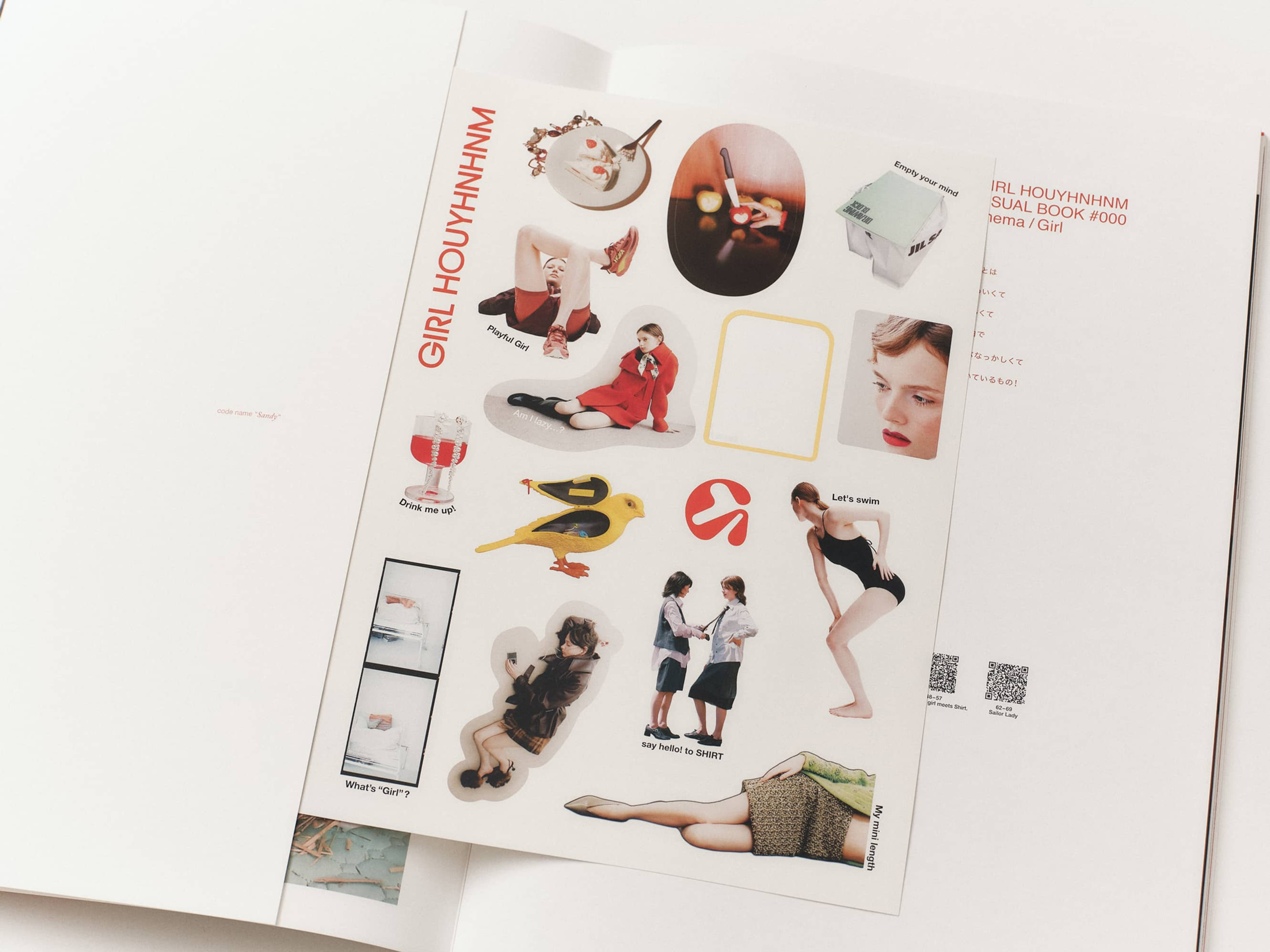 GIRL HOUYHNHNM VISUAL BOOK #000 image 11