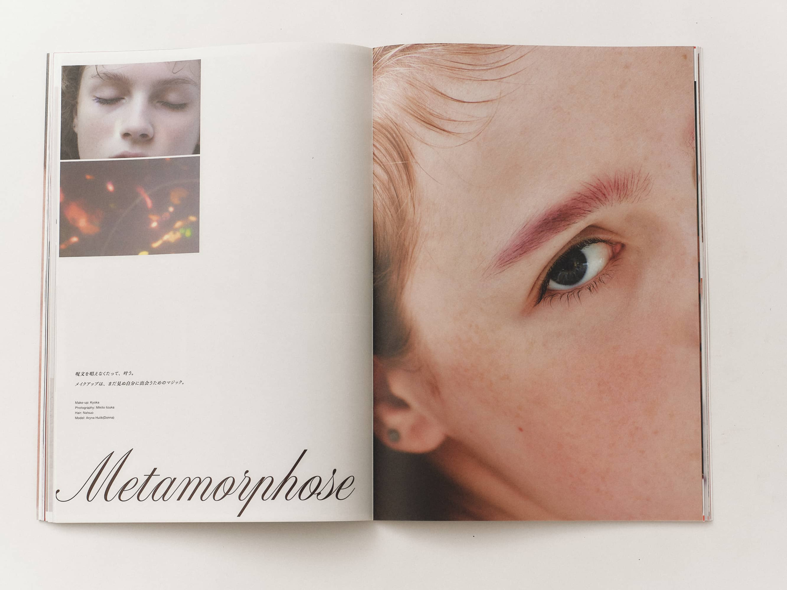 GIRL HOUYHNHNM VISUAL BOOK #000 image 5