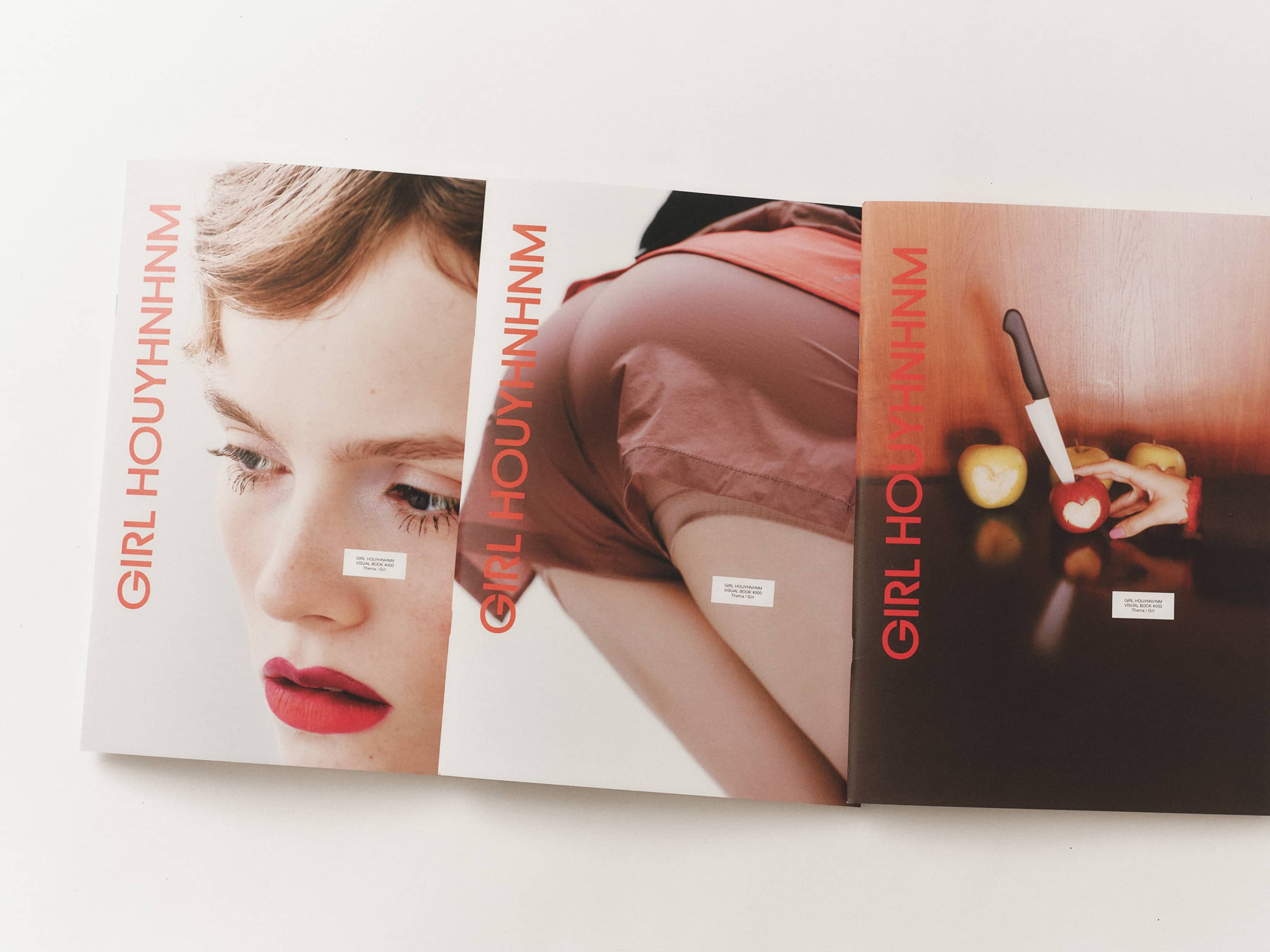 GIRL HOUYHNHNM VISUAL BOOK #000
