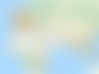 Google Expeditions - World Map