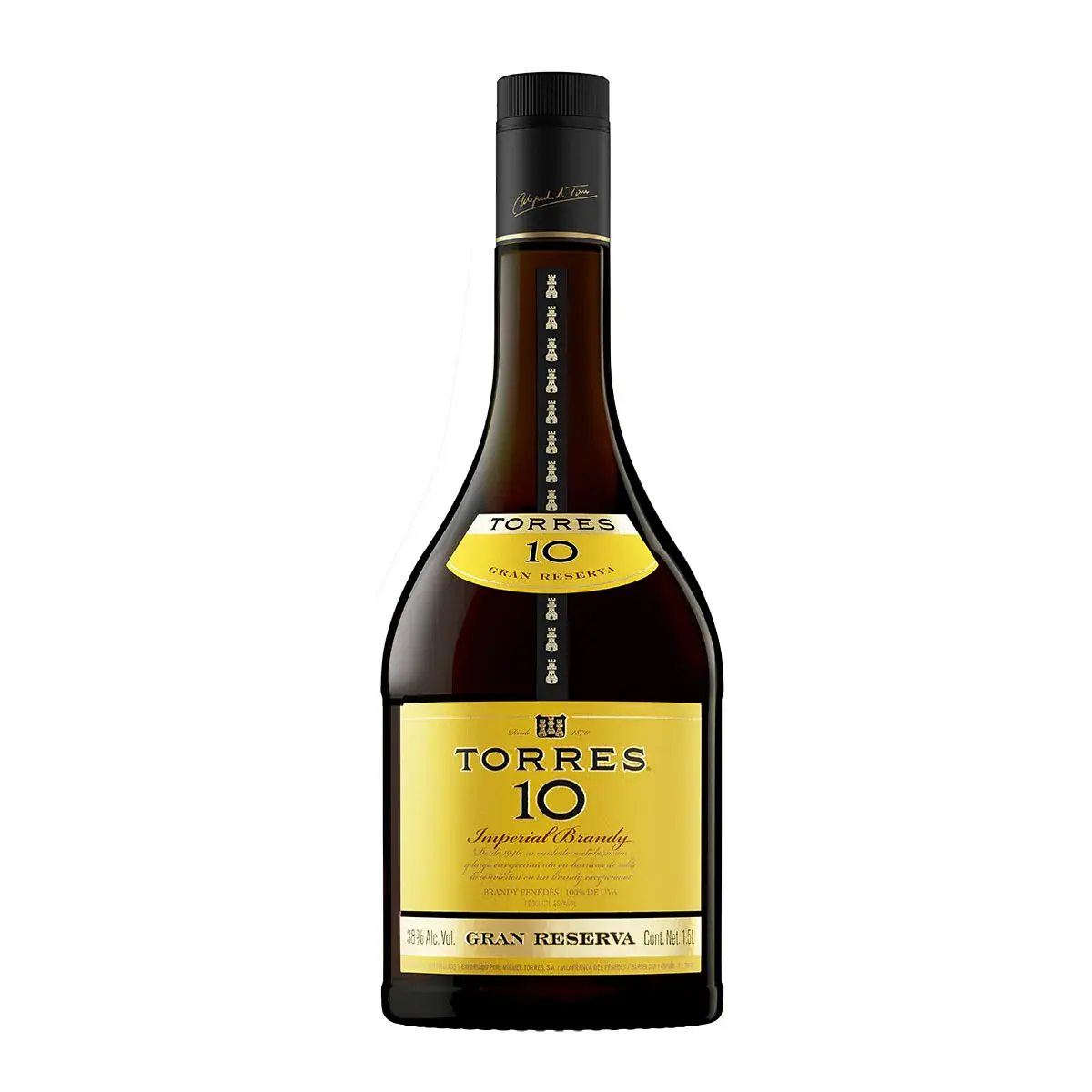 Brandy Torres 10, 1L