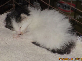 IMG_1726_edited.jpg