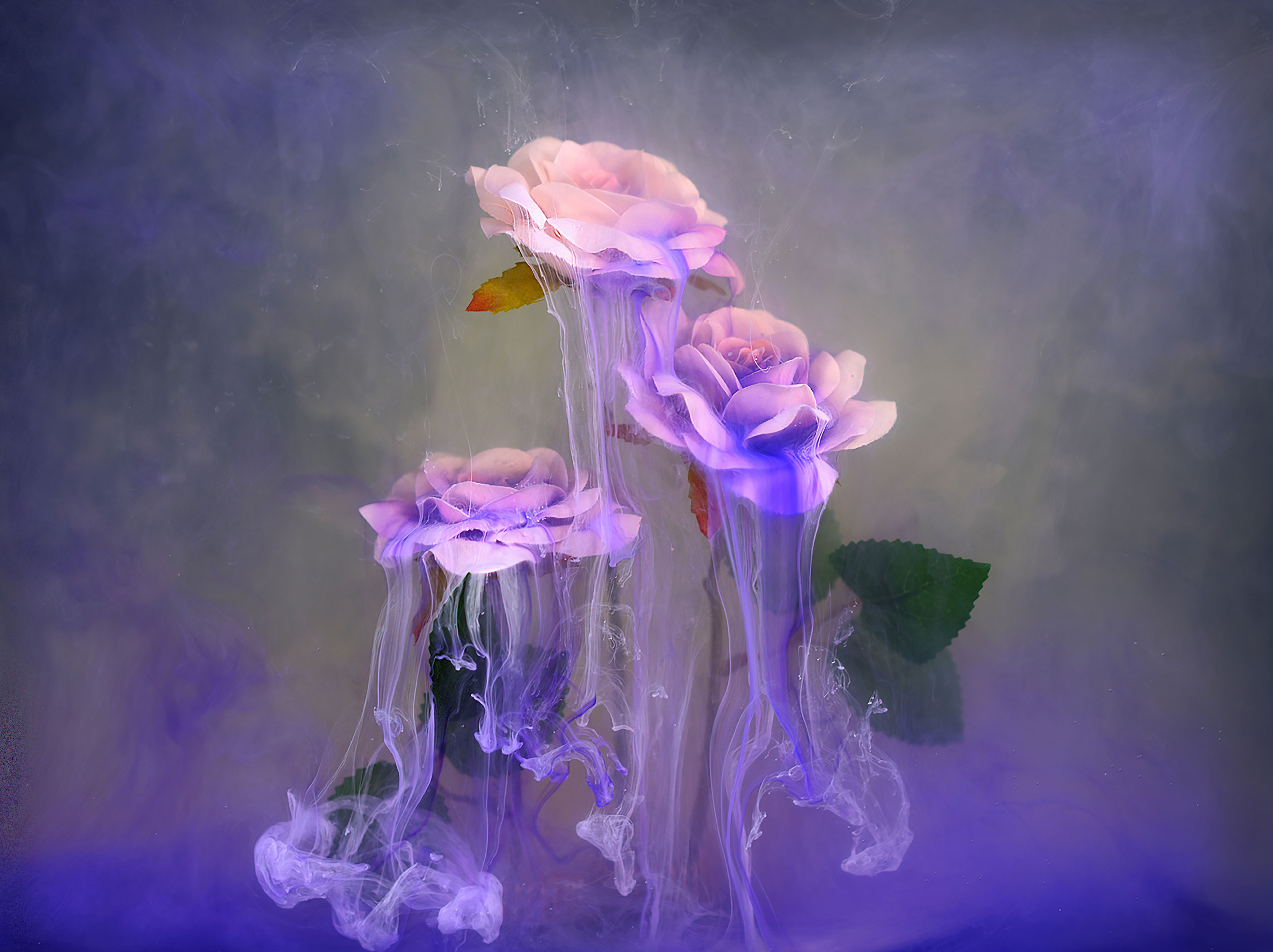 Her Tendril Veil