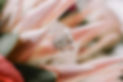 28514389_10159960753055304_442132563935524688_o.jpg
