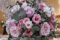 MonicaCreations_20180323_5D49970.jpg