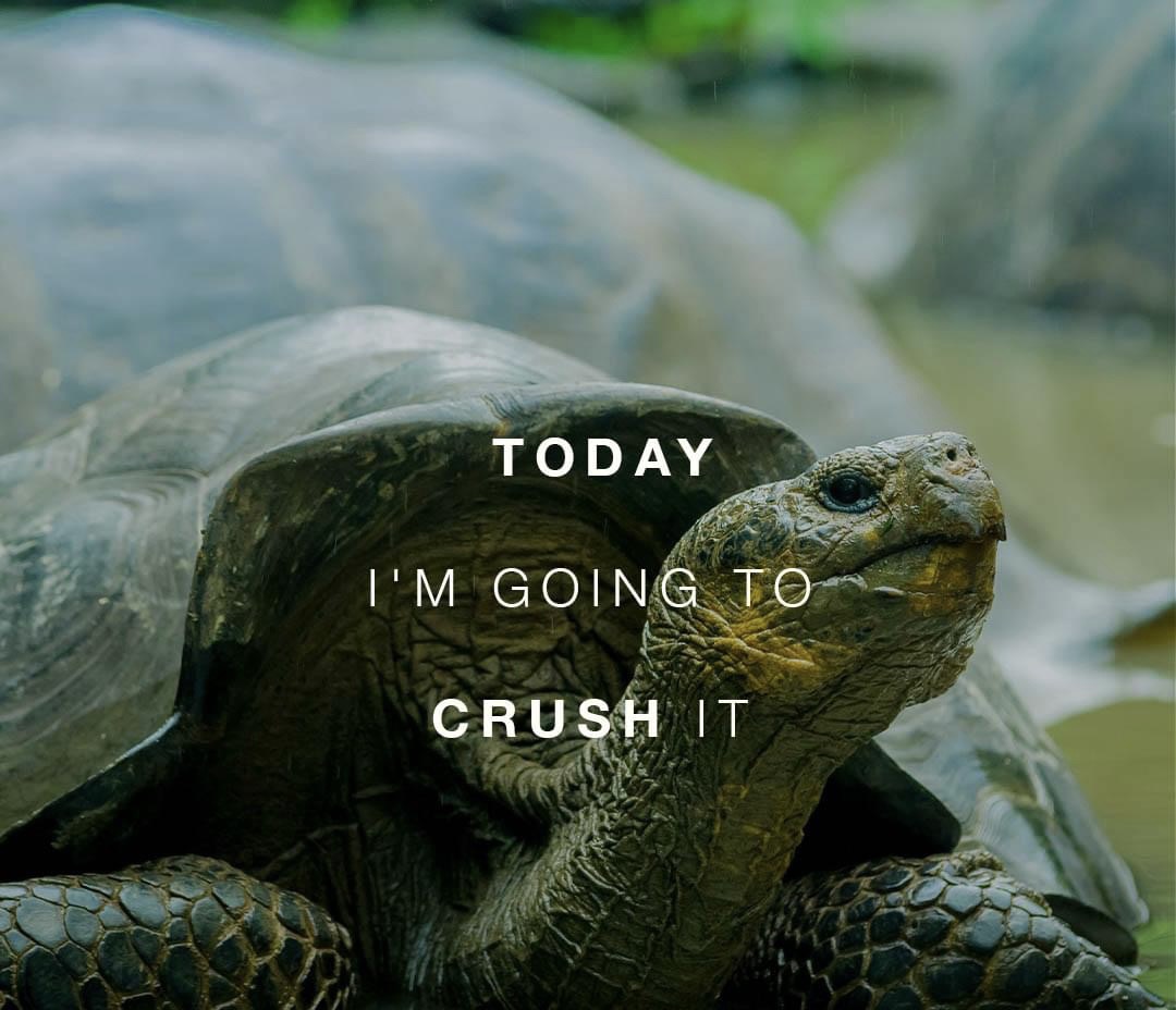 Crush it today💜💫 content media