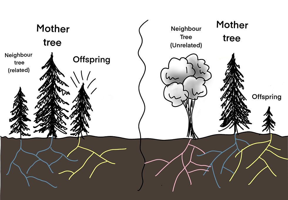 The Science behind Tree Talk