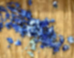 close up hydrangea