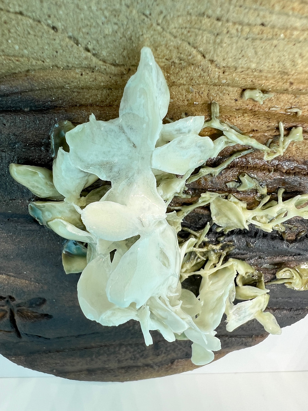 white hydrangea and wood