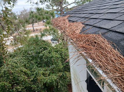 A Picture Of Very Dirty Gutters In Emerald Isle, NC Before They Were Cleaned Out By Hydro Force Pressure Washing