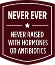 01 never ever.webp