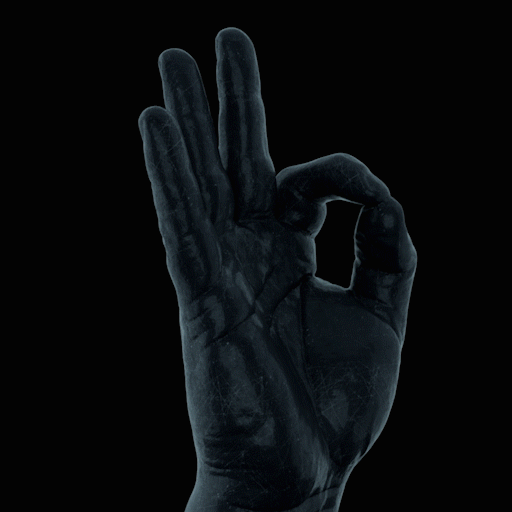 RIBSSEIXA_Reel_2021_003.gif