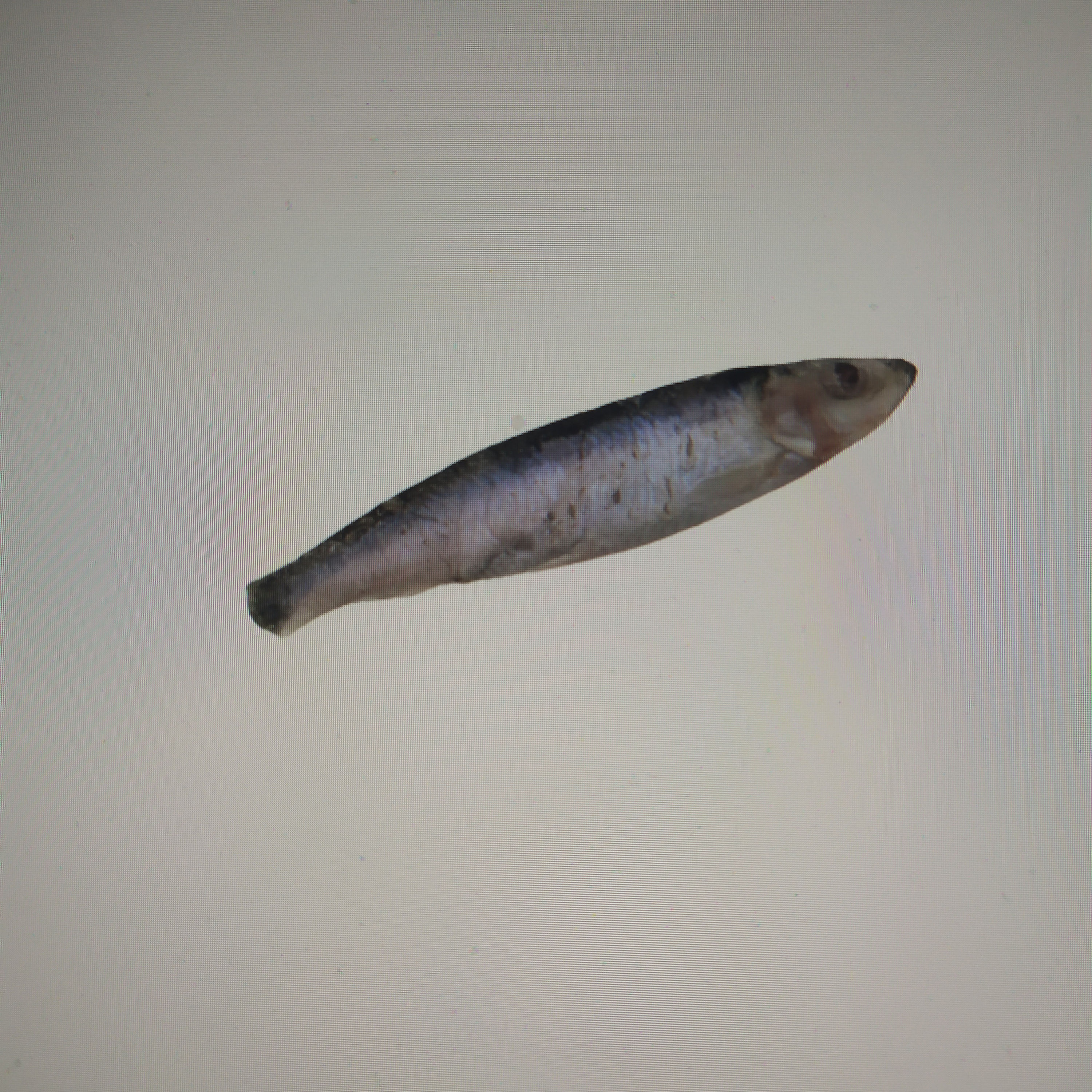 Fritures de poisson 1kg