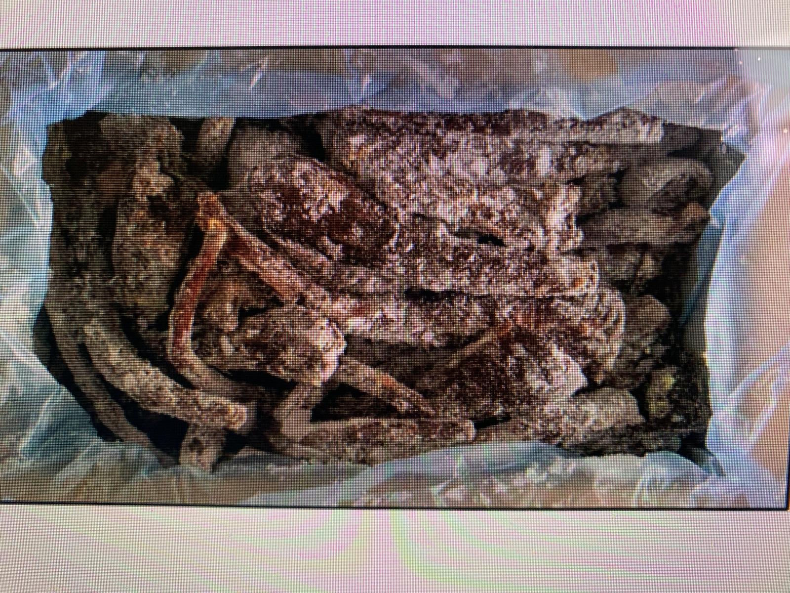 Queue de mouton  fumée 3kg