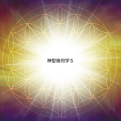 ピンク　白　シンプル　花　ハート　キラキラ　格言　 Instagram投稿.png