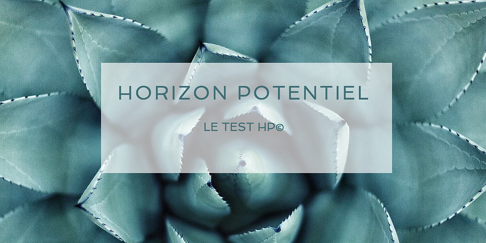 LE TEST HP© - ANIMATION CAROLINE BRISON