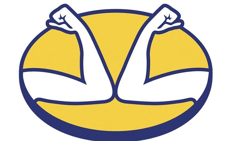 Miniatura: Catálogo Stelium