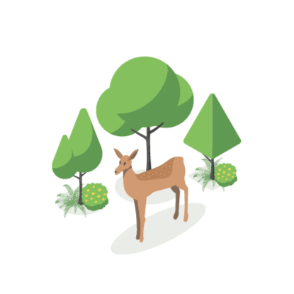 Plants-and-animals.gif