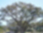 28-DSC07072_edited.jpg