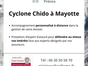 Cyclone Chido à Mayotte : Collomé Frères aux côtés des sinistrés
