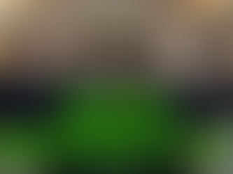 Gang Green wins the Pan Am: Pro AM