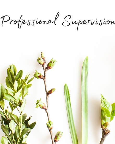 Professional Supervision Image.png