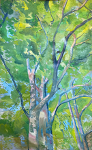 Beech Trees Gelt Woods