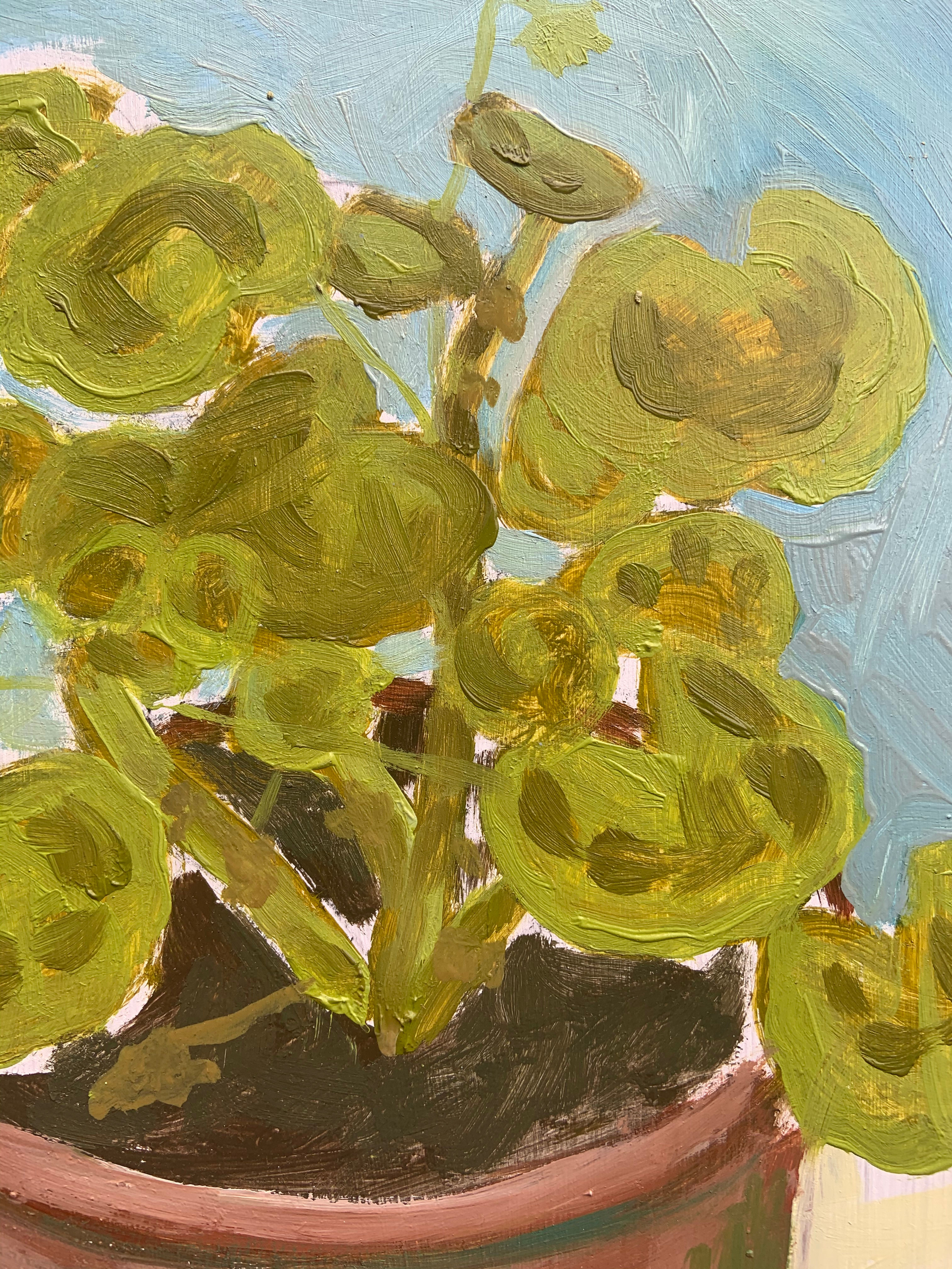 Geranium on a Blue and White Plat