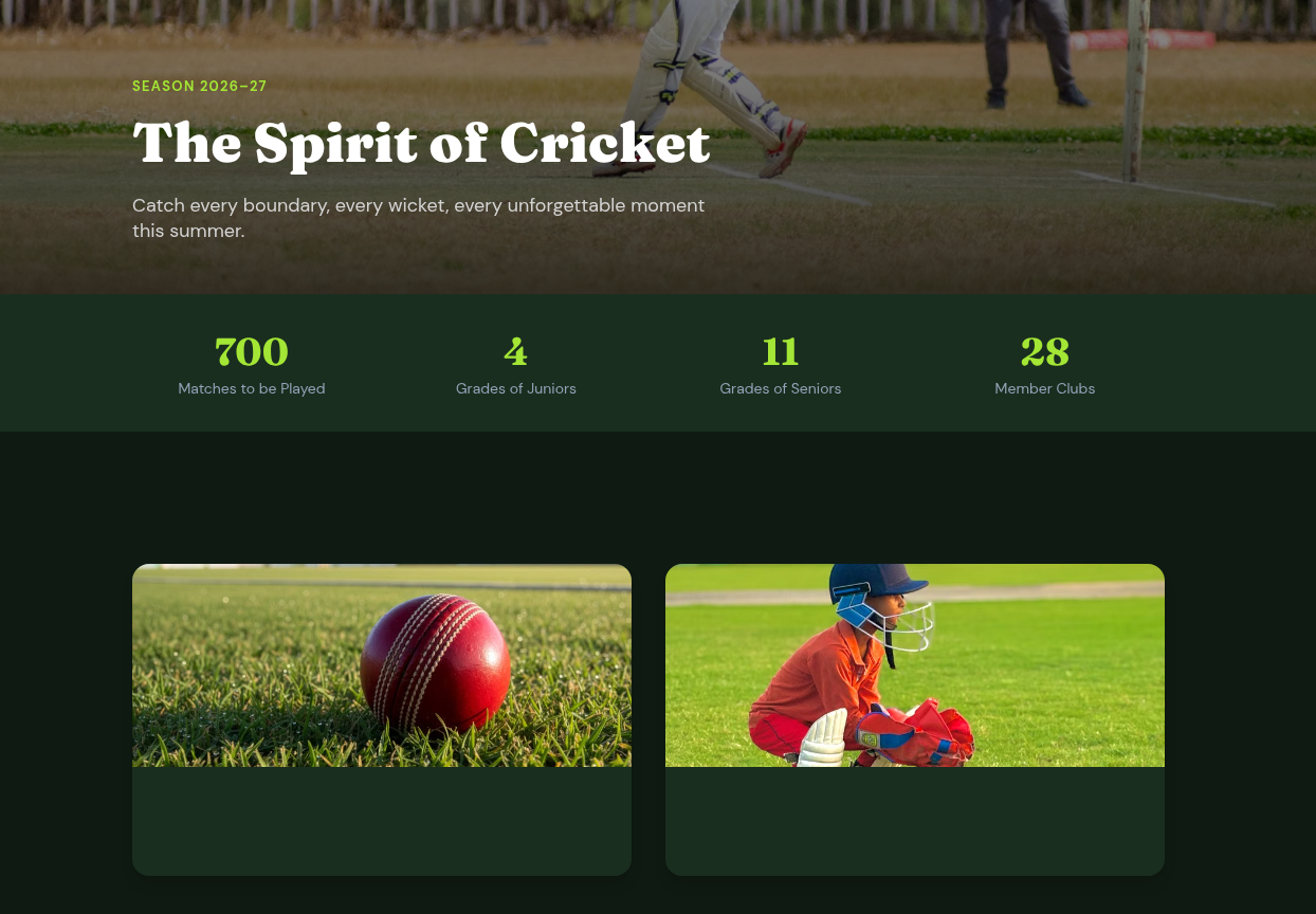 Cricket Website Section (1).png