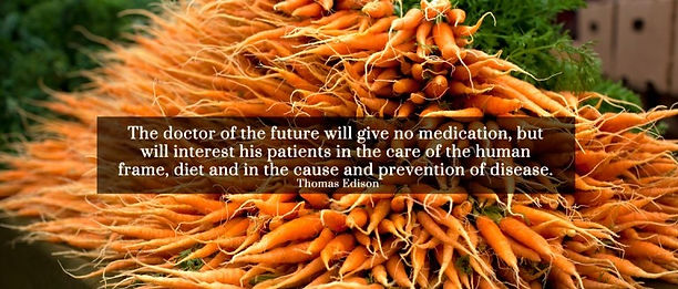 holistic nutritionist, naturopathic doctor new york city, Naturopathic doctor Brooklyn, natural health, alternative medicine, homeopathy, herbal medicine, ND, NYC, Natural health NYC