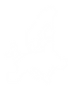 picto europe blanc.png