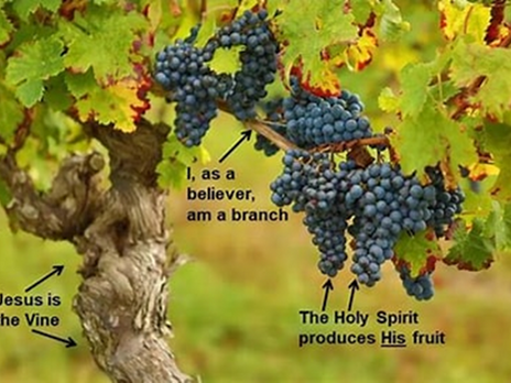 The Benefits of Abiding