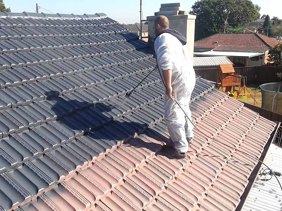 roof painting Decor Design Solutions
