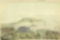 ree