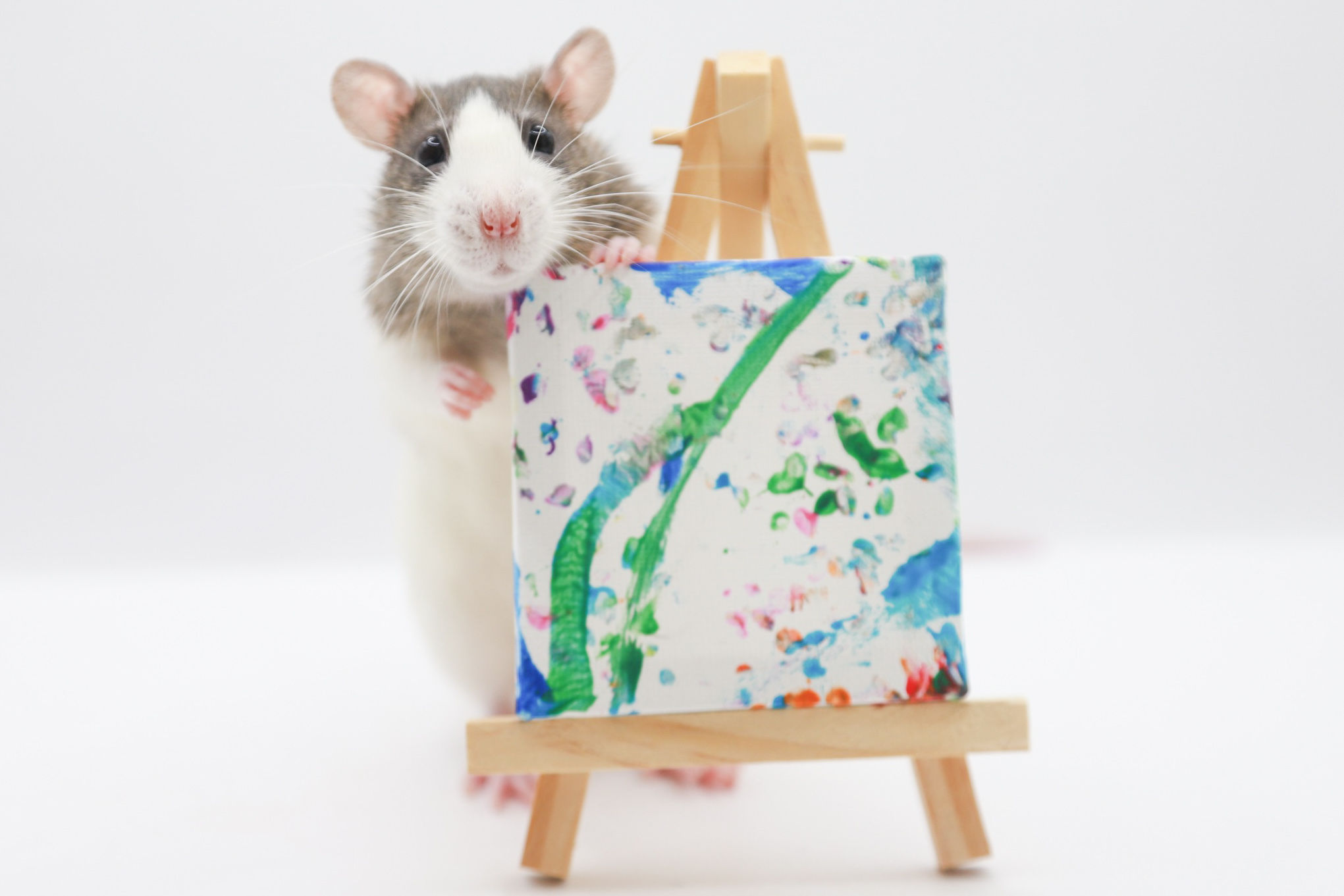 Clover canvas painting 