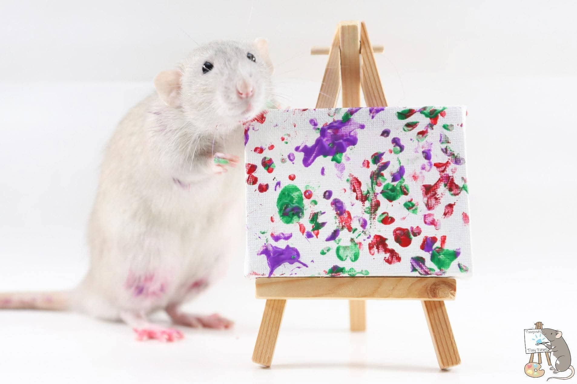 Henry the rat painting