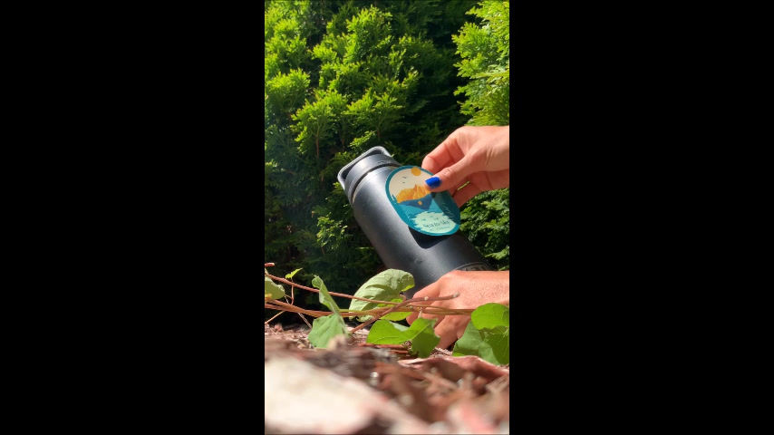 Thumbnail: Mt. Assiniboine - AB - Canada
