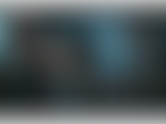 Krav Maga vs. Self-Défense Professionnelle