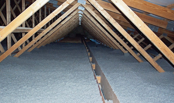 TAP Insulation_edited.jpg