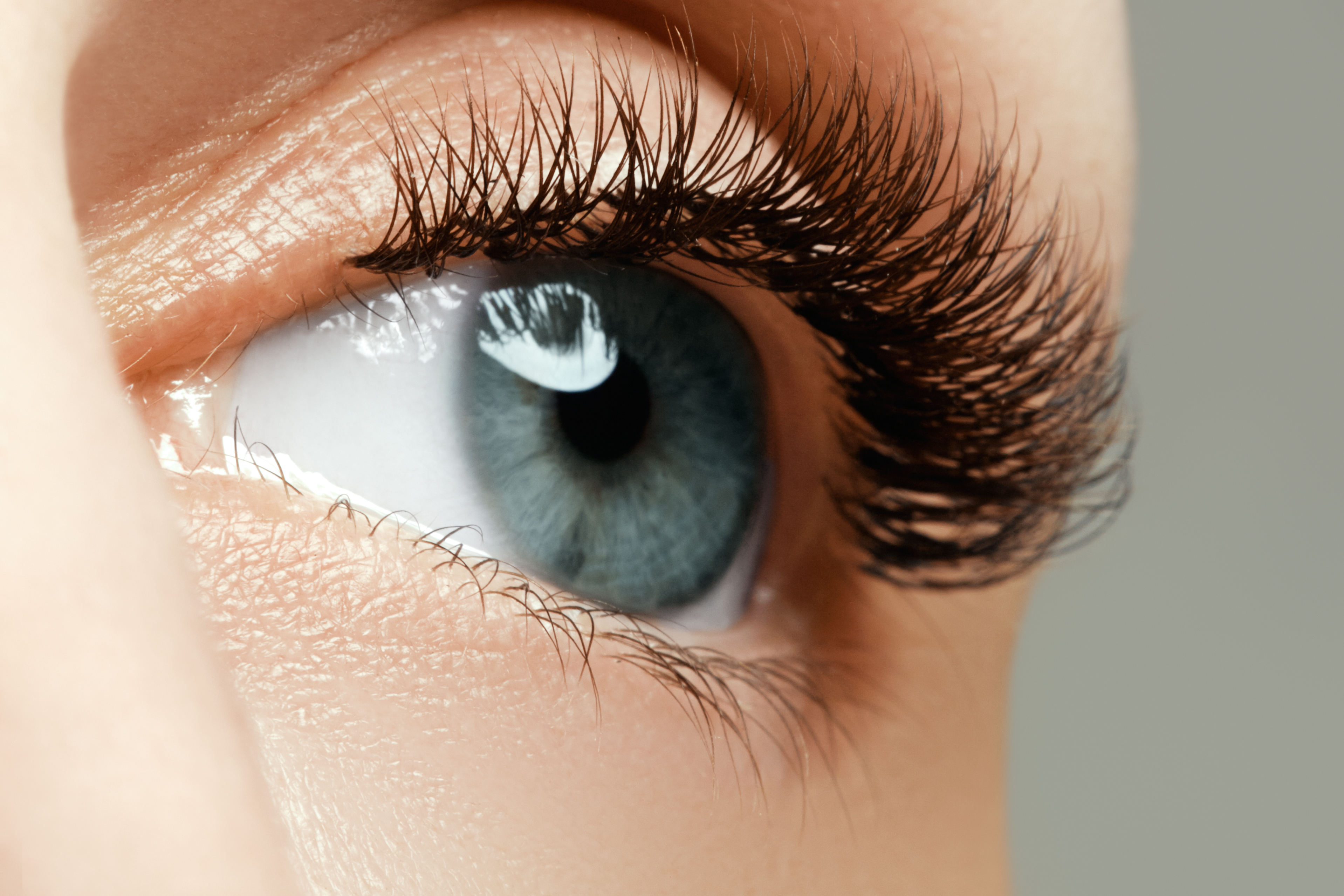 Permanent i tint de pestanyes