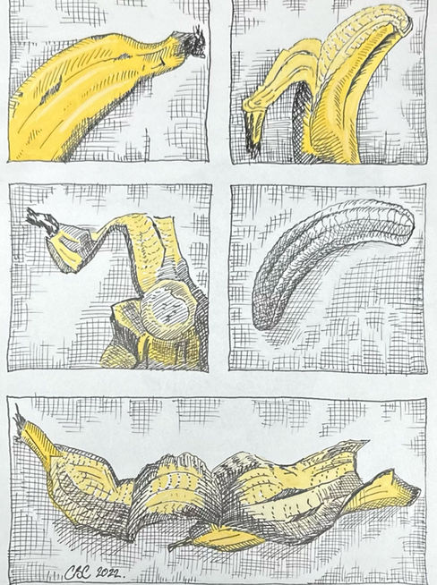 09 Banana Scan.jpg