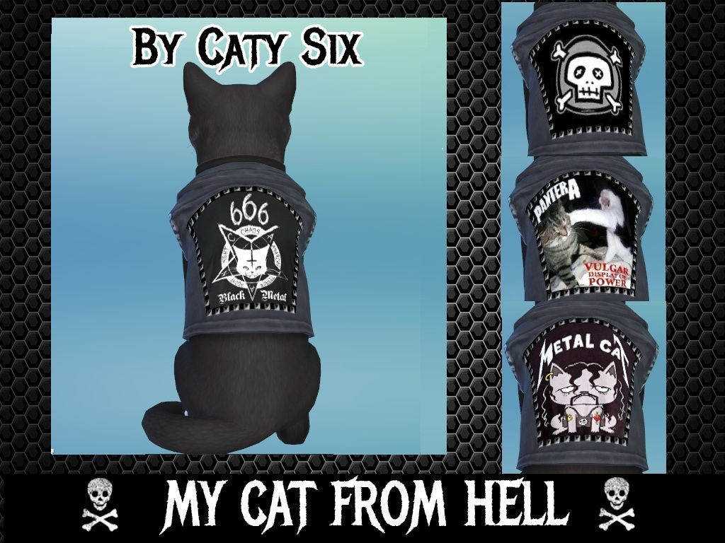 Cats Clothes