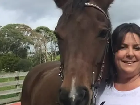 Horse riders excluded from shared path, told to use highway