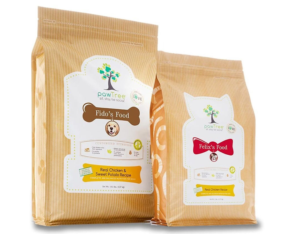 Why Quality Matters: What We Feed Our Dogs and Why We Choose PawTree