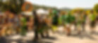 Parade Panorama