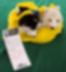 T-Shirt Bag for Stuffies