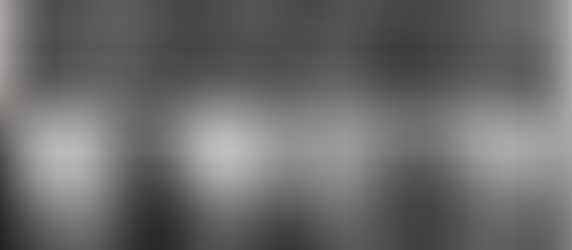 Your Puppy's Body Is Still Under Construction: Why Early Movement Matters More Than You Think