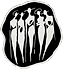 image (13).png