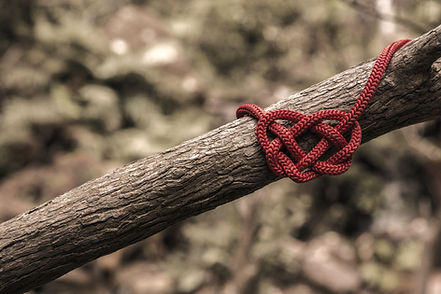 red rope on three branch_edited.jpg